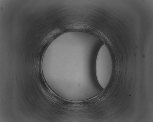 X0000087510542200704270756