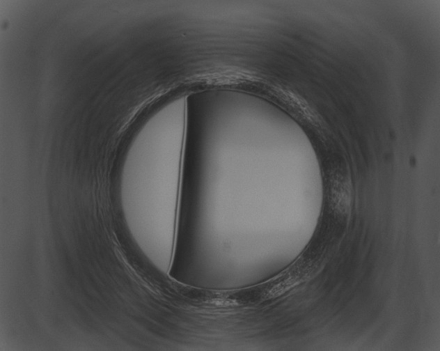 X0000087510543200704270756