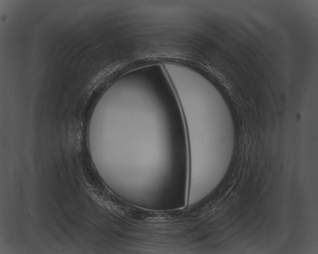 X0000087510544200704270756
