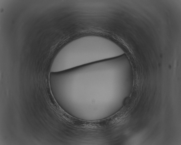 X0000087510545200704270756