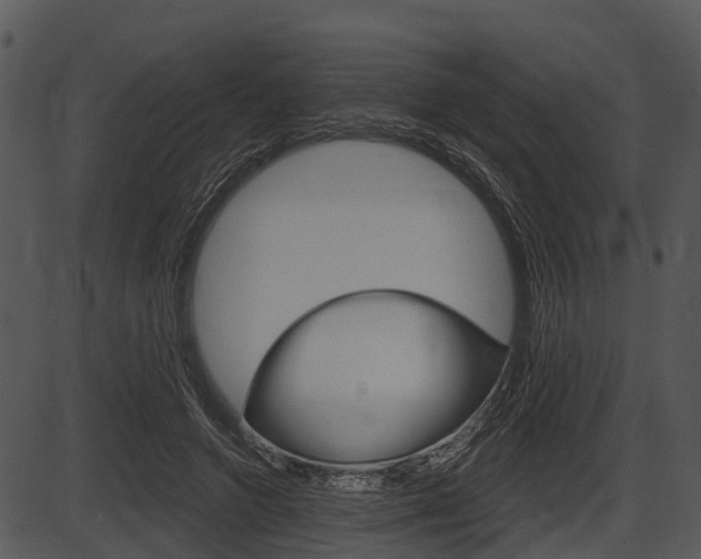 X0000087510546200704270756