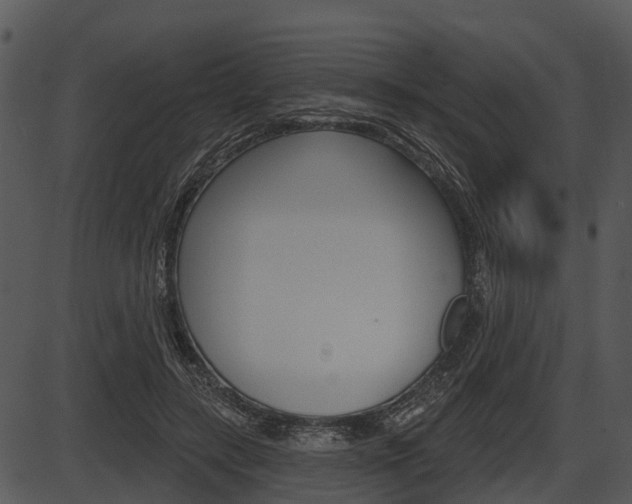 X0000087510547200704270756