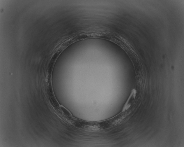 X0000087510548200704270756