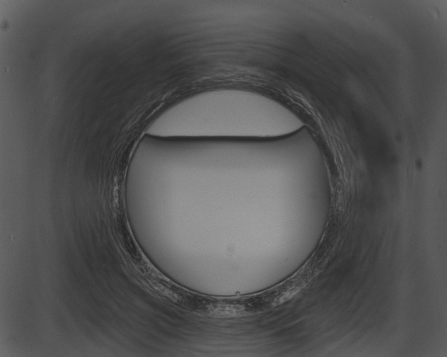 X0000087510549200704270756