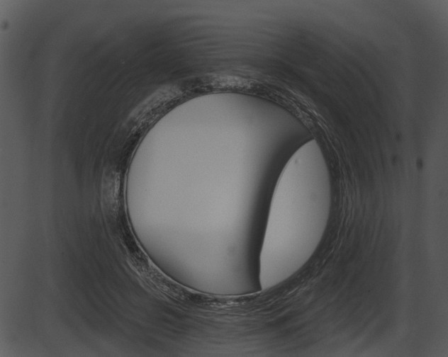 X0000087510550200704270756