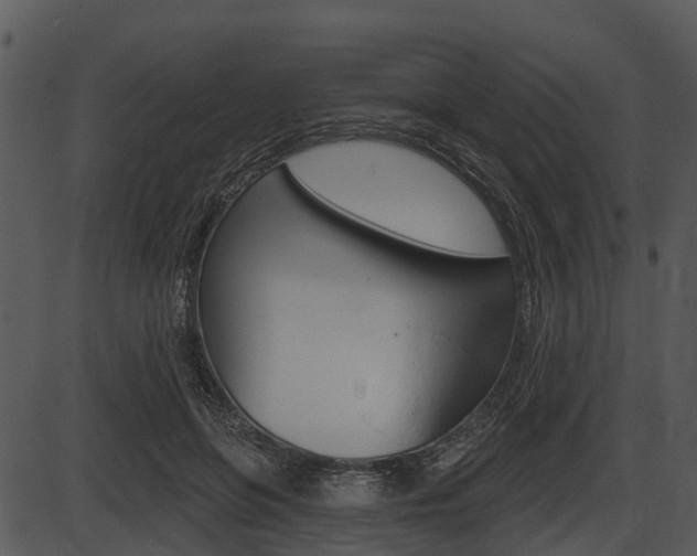 X0000087510551200704270756