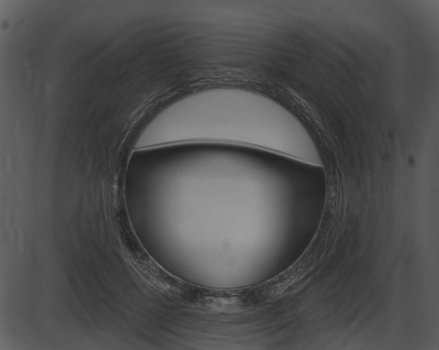 X0000087510552200704270756