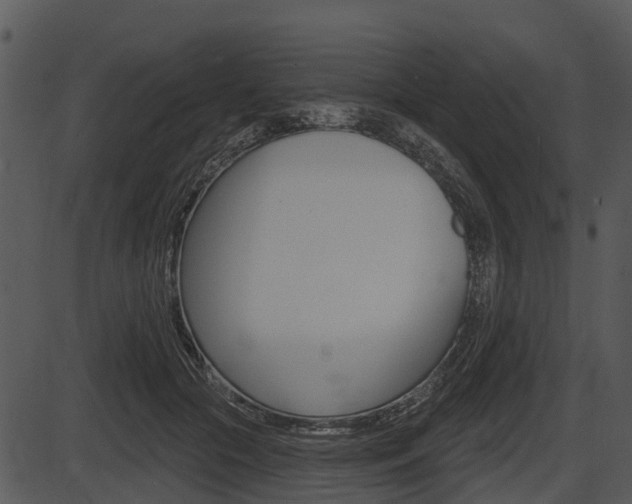 X0000087510553200704270756
