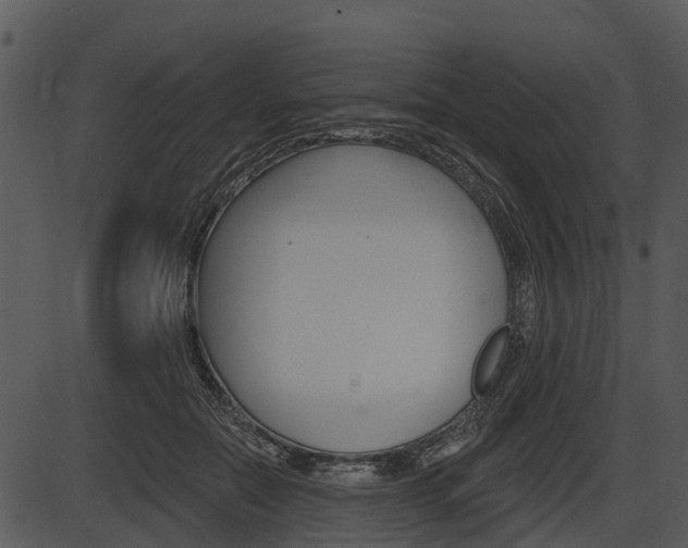 X0000087510554200704270756