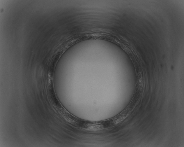 X0000087510555200704270756