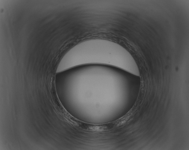 X0000087510558200704270756