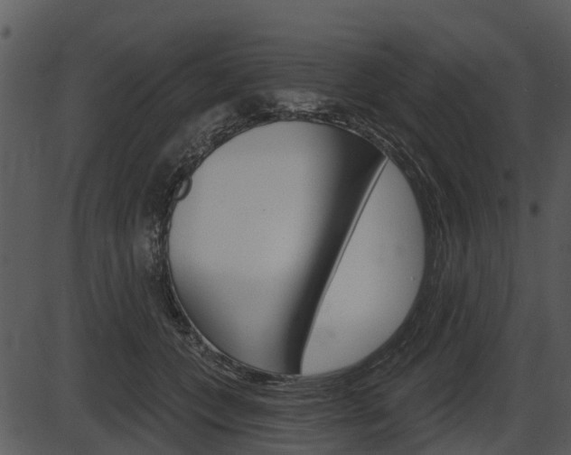 X0000087510559200704270756