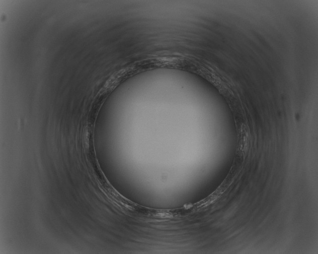 X0000087510562200704270756