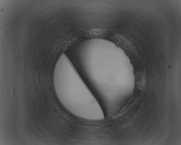 X0000087510563200704270756