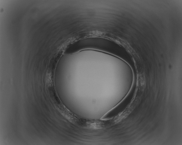 X0000087510564200704270757