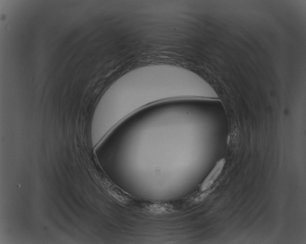 X0000087510566200704270757