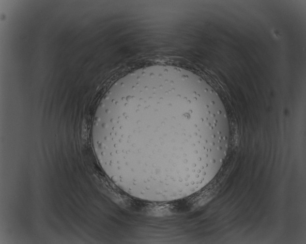 X0000087510569200704270757
