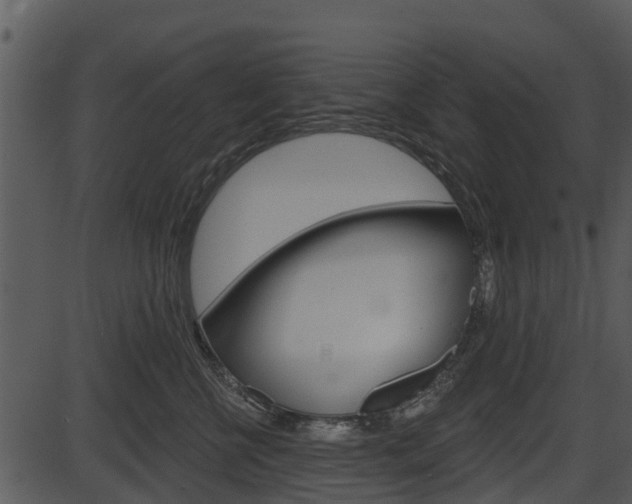 X0000087510570200704270757