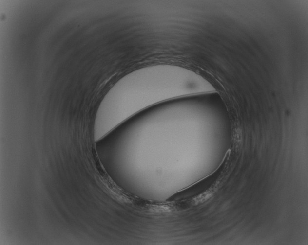X0000087510572200704270757