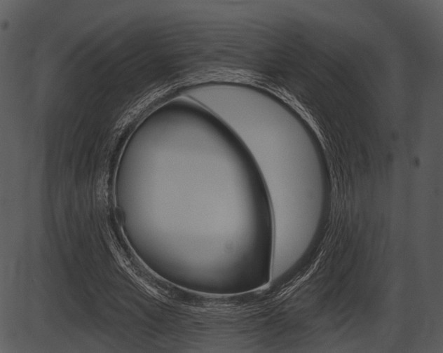 X0000087510581200704270756