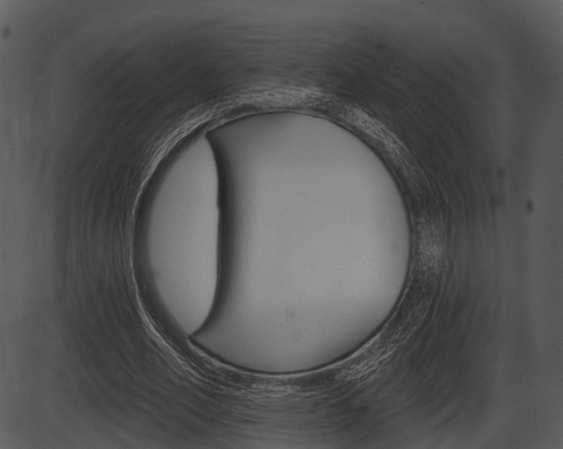 X0000087510582200704270756