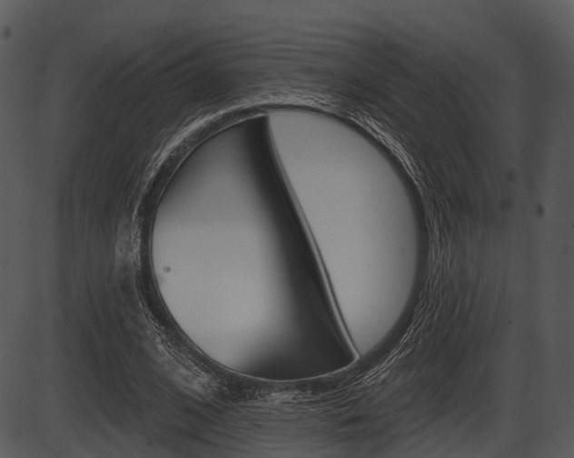 X0000087510584200704270756