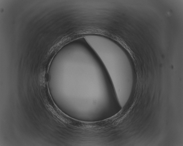 X0000087510585200704270756