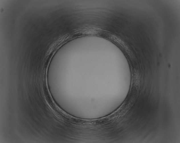 X0000087510586200704270756
