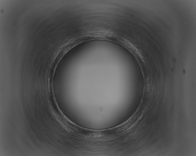 X0000087510589200704270756