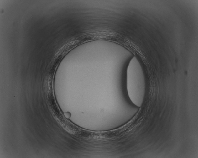 X0000087510590200704270756