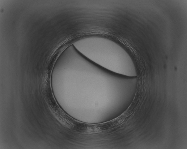 X0000087510591200704270756