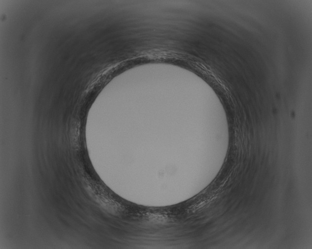 X0000087510592200704270756