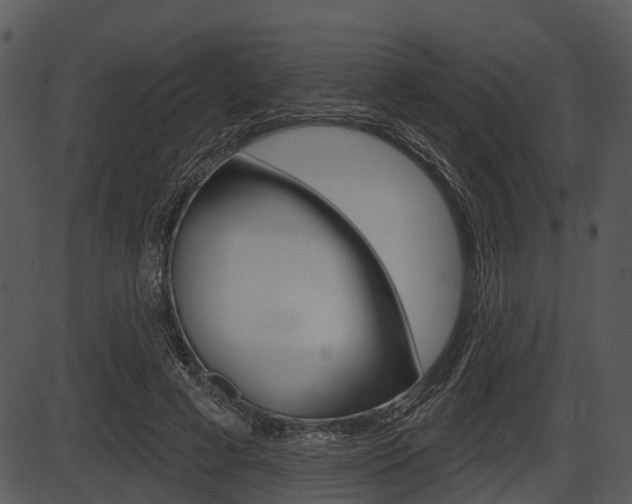 X0000087510593200704270756
