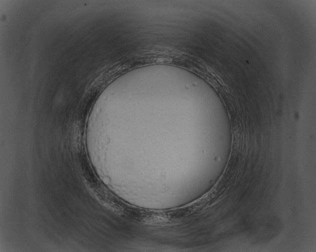 X0000087510594200704270756