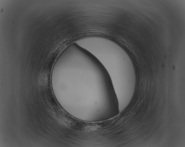 X0000087510595200704270756