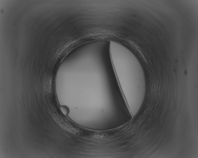 X0000087510596200704270756