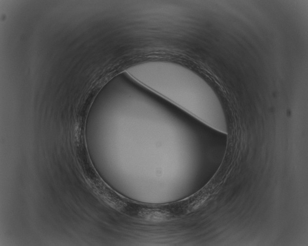 X0000087510597200704270756