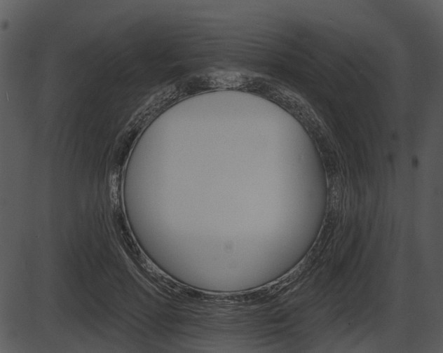 X0000087510598200704270756