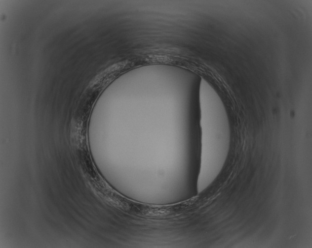 X0000087510599200704270756