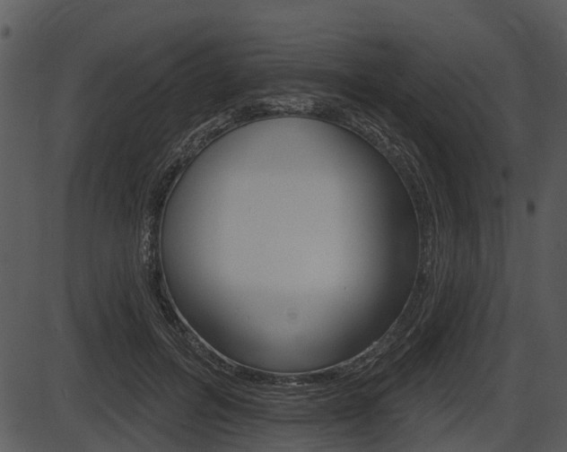 X0000087510600200704270756