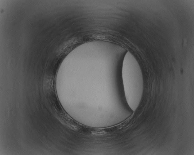 X0000087510603200704270755