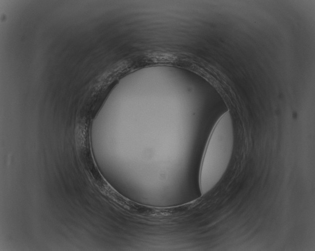 X0000087510604200704270755