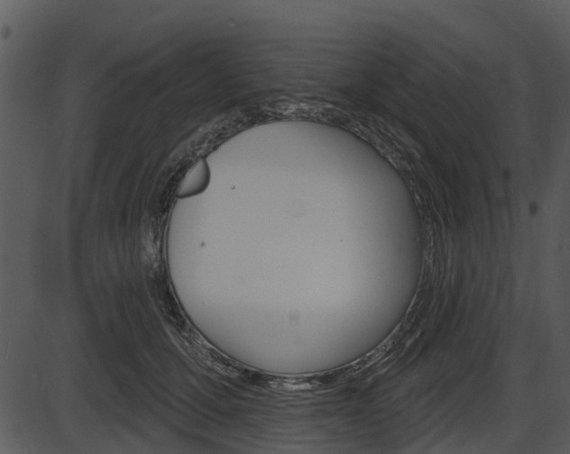 X0000087510607200704270755