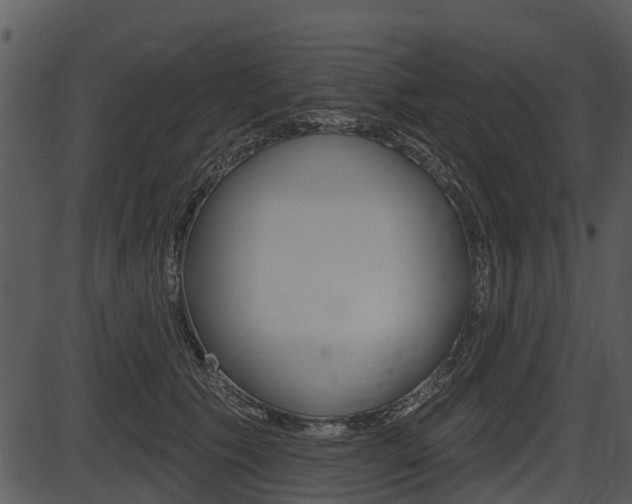 X0000087510609200704270755
