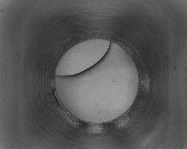 X0000087510610200704270755