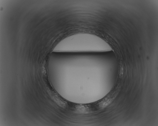X0000087510616200704270755