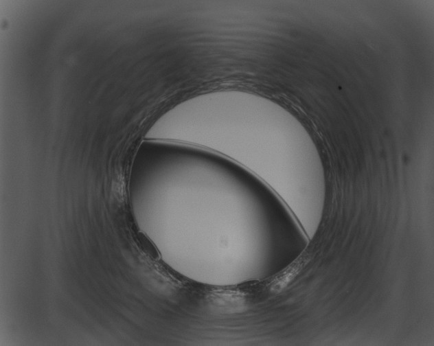 X0000087510617200704270755
