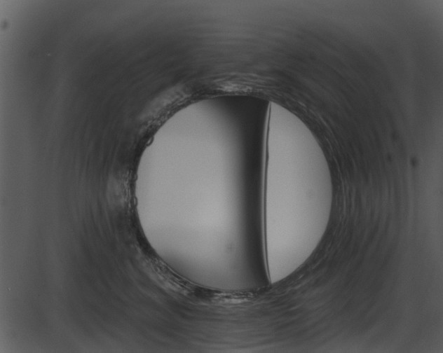 X0000087510620200704270755