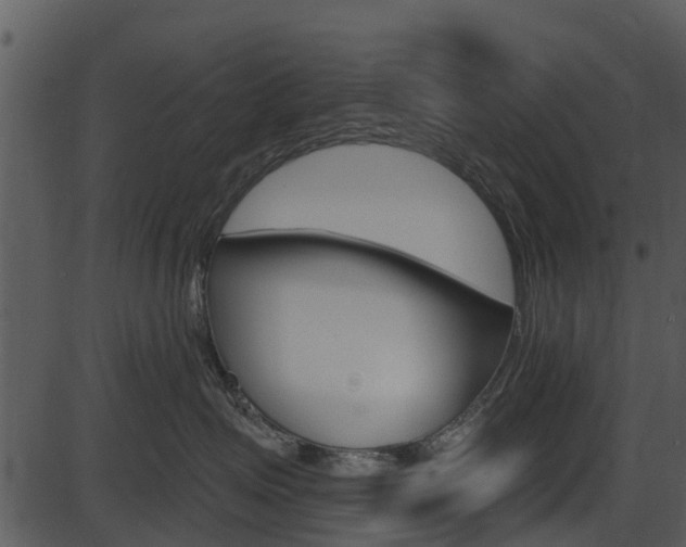 X0000087510623200704270755