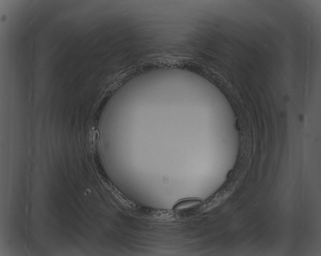 X0000087510624200704270755